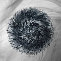 Feathers