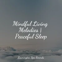 Mindful Living Melodies | Peaceful Sleep