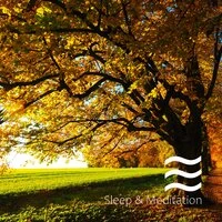 Rain Sober sounds for Composed Sleep Babies