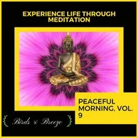 Experience Life Through Meditation - Peaceful Morning, Vol. 9