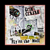 The Fly on the Wall