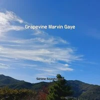 Grapevine Marvin Gaye