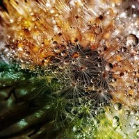 August 2019 Relaxing Sounds of Water and Nature