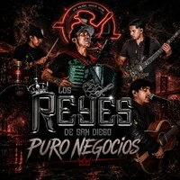 Puro Negocios