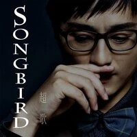Song Bird