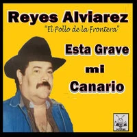 Esta Grave mi Canario