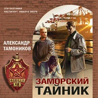 Александр Тамоников. «Заморский тайник»