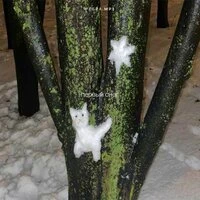 первый снег