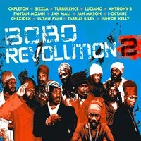 Bobo Revolution 2