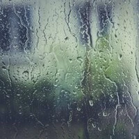 20 Rain Loops for Absolute Tranquility