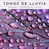 Tonos De Lluvia: Sonidos Binaurales De Lluvia