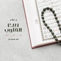 دعاء ربيع القلوب