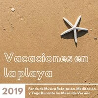 Vacaciones en la Playa 2019 - Fondo de Música Relajación, Meditación y Yoga Durante los Meses de Verano