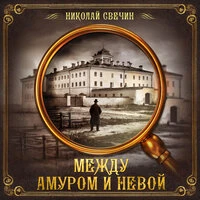 Николай Свечин. «Между Амуром и Невой»
