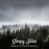 Sleepy Tones: Windy Pine Forest Ambience 2