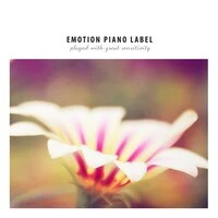 Collection of piano for relaxed atmosphere of office