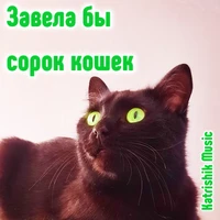 Завела бы сорок кошек