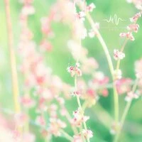 宝宝睡眠专享｜哄娃安胎必备｜越听越困