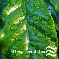 Calming Fan Noise to Sleep Better