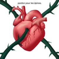 Pardon pour les épines