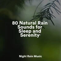 80 Natural Rain Sounds for Sleep and Serenity