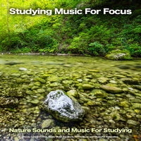 Studying Music For Focus: Nature Sounds and Music For Studying, Focus, Concentration, Study Music For Work, Office Music and Music For Relaxation