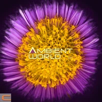 Ambient world 2.0