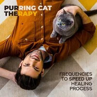 Purring Cat Therapy – Frequencies to Speed Up Healing Process