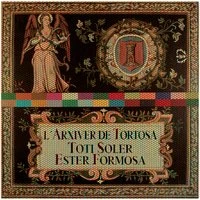 L'Arxiver de Tortosa