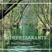 Sons relaxants de ruisseaux - Musique de relaxation nature et anti-stressant