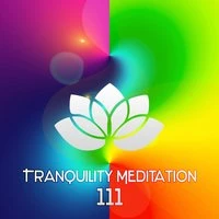 Tranquility Meditation 111: Nature Sounds, Spiritual Awakening, Relaxing Music, Zen, Healing Music, Mental Concentration