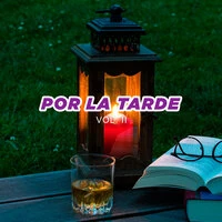Por la tarde vol. II