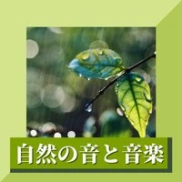 自然の音と音楽:休憩マインドフルネス瞑想・睡眠誘導安眠音楽