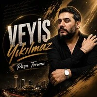 Paşa torunu