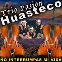 No Interrumpas Mi Vida