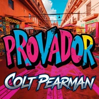 Provador