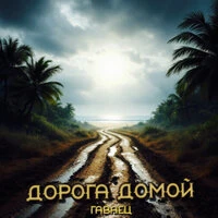 Дорога домой