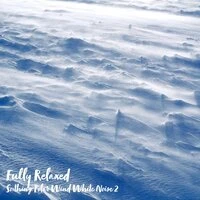 Fully Relaxed: Soothing Polar Wind White Noise 2
