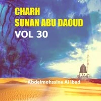 Charh Sunan Abu Daoud Vol 30