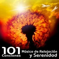 Música de Relajación y Serenidad - 101 Canciones para Dormir, Relajación y Bienestar para Mí, Estresse e Sono, Meditação e Espiritualidade New Age, Bem Estar, Pensamento Positivo, Massagem Música