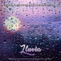 Estudia musica y sonidos de la naturaleza: Música tranquila para estudiar, música para leer y sonidos de lluvia para la concentración