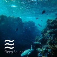 Relaxation Soft Still Noisy Nature