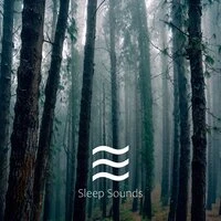 Dreaming Noisy Nature Tones