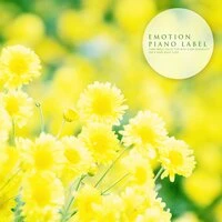 Piano Music Collection With Clear Sensibility For A Good Night Sleep