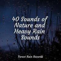 40 Sounds of Nature and Heavy Rain Sounds