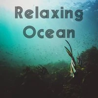 Relaxing Ocean – Restful Waves, Peaceful Water