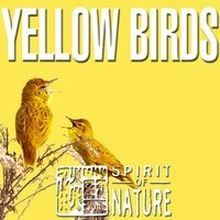 Spirit of Nature