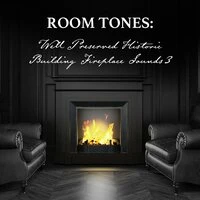 Room Tones: Well Preserved Historic Building Fireplace Sounds 3