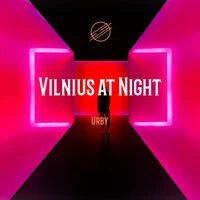 Vilnius at Night