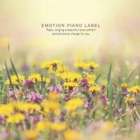 New Age music spreading in my ear calmly when studying